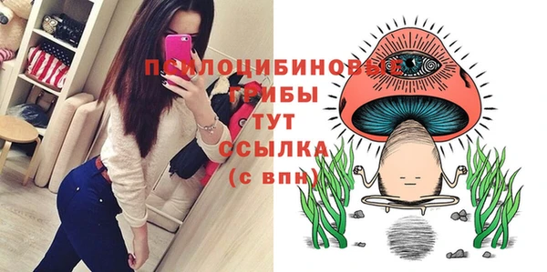 молекула духа Волоколамск