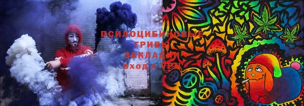 молекула духа Волоколамск
