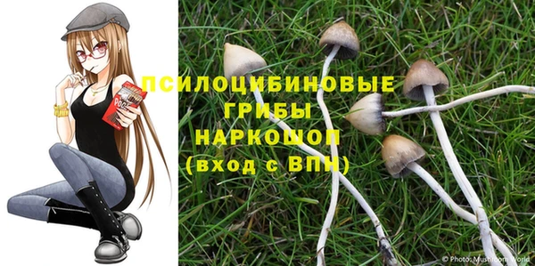молекула духа Волоколамск
