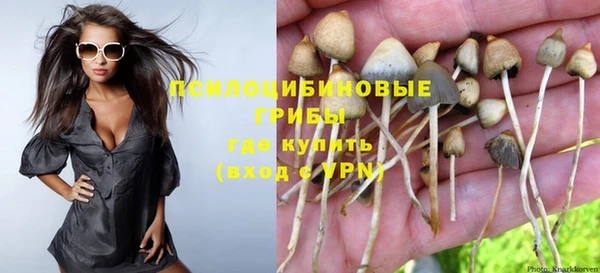 индика Верея