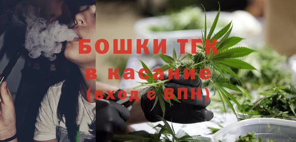 молекула духа Волоколамск